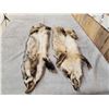 Image 3 : 2 Soft Tanned Badger Furs Taxidermy