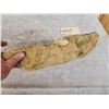 Image 4 : Fossilized Dinosaur Bone