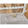 Image 1 : Set Of 5x5 Whitetail Shed Antlers