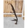Image 4 : 12.7 Lbs Alaskan Self Standing Moose Shed Antler