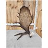 Image 5 : 12.7 Lbs Alaskan Self Standing Moose Shed Antler