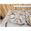 Image 2 : 39.6 Lbs Of Deer Antlers