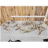 Image 1 : 28.3 Lbs Of Whitetail Antlers