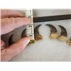 Image 2 : Set Of 20 Black Bear Claws Taxidermy