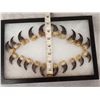 Image 3 : Set Of 20 Black Bear Claws Taxidermy
