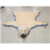 Image 1 : Beautiful Polar Bear Rug Taxidermy
