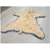 Image 5 : Beautiful Polar Bear Rug Taxidermy