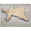 Image 6 : Beautiful Polar Bear Rug Taxidermy