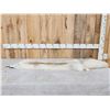 Image 1 : Champagne Ranch Fox Soft Tanned Fur Taxidermy