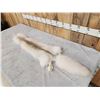 Image 2 : Champagne Ranch Fox Soft Tanned Fur Taxidermy