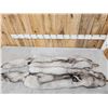 Image 6 : 2 Soft Tanned Blue Ranch Fox Furs Taxidermy