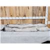 Image 1 : 2 Blue Ranch Fox Soft Tanned Furs Taxidermy