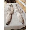 Image 4 : 2 Blue Ranch Fox Soft Tanned Furs Taxidermy