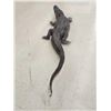 Image 6 : Big 10' American Alligator Full Body Taxidermy Mount