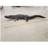 Image 7 : Big 10' American Alligator Full Body Taxidermy Mount