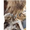 Image 19 : Giant Alaskan Brown Bear Guarding His Cache Of Food
