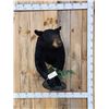 Image 1 : Bkack Bear Half Body Taxidermy Mount