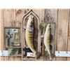 Image 2 : 21" & 27" Walleye Real Skin Fish Taxidermy