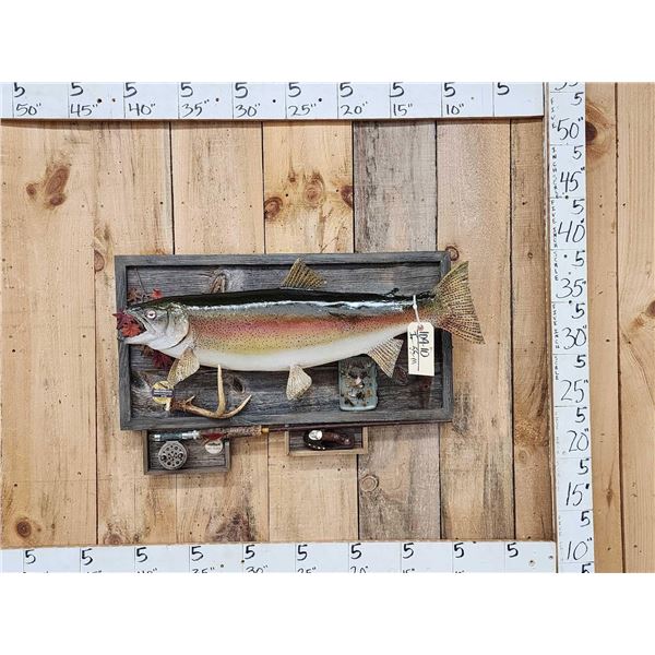 31" Rainbow Trout Real Skin Fish Taxidermy