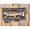 Image 2 : 31" Rainbow Trout Real Skin Fish Taxidermy