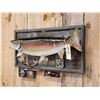 Image 4 : 31" Rainbow Trout Real Skin Fish Taxidermy