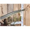 Image 6 : 43" Long Nose Gar Real Skin Fish Taxidermy