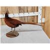 Image 5 : Gorgeous Ringneck / Reeves Cross Copper Pheasant Full Body Bird Taxidermy