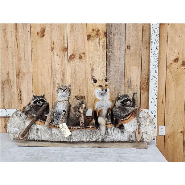 Noah's Ark 5 Critters In A Birch Bark Canoe Taxidermy