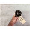 Image 3 : 6 Shot Black Powder Pepper Box Pistol