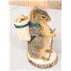 Image 2 : Backpacking Squirrel Taxidermy Mount