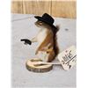Image 3 : Sheriff Squirrel Taxidermy Mount