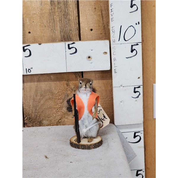 Hunting Squirrel Taxidermy Mount