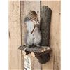 Image 3 : Bow Hunting Squirrel In A Tree Stand Taxidermy