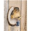 Image 4 : Naughty Squirrel Taxidermy Mount