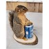 Image 2 : Naughty Squirrel Taxidermy Mount