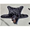Image 1 : Nice Black Bear Rug Taxidermy