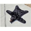 Image 5 : Nice Black Bear Rug Taxidermy