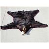 Image 1 : Nice Black Bear Rug Taxidermy