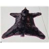 Image 7 : Nice Black Bear Rug Taxidermy