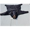 Image 1 : Black Bear Rug Taxidermy
