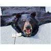 Image 2 : Black Bear Rug Taxidermy