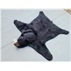 Image 5 : Black Bear Rug Taxidermy
