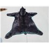 Image 6 : Black Bear Rug Taxidermy
