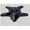 Image 1 : Black Bear Rug Taxidermy