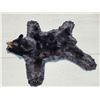 Image 4 : Black Bear Rug Taxidermy