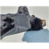 Image 7 : Black Bear Rug Taxidermy
