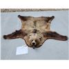 Image 1 : Nice Vintage Alaskan Grizzly Bear Rug Taxidermy