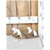 Image 1 : 2 Weasels Playing On Driftwood Taxidermy