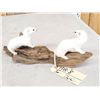 Image 5 : 2 Weasels Playing On Driftwood Taxidermy
