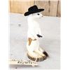 Image 2 : Sheriff Weasel Taxidermy Mount